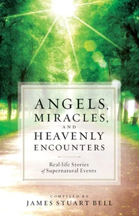 Cover of Angels, Miracles, and Heavenly Encounters