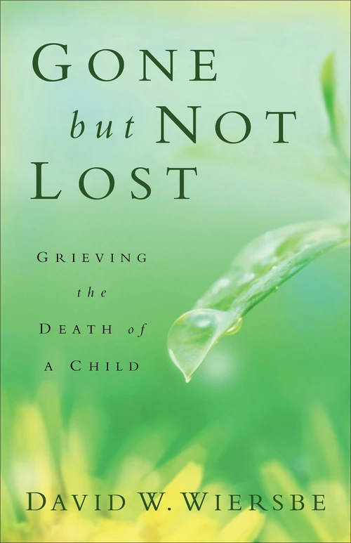 Cover of Gone but Not Lost