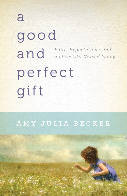 Cover of A Good and Perfect Gift