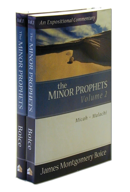 Cover of The Minor Prophets