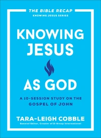 Cover of Knowing Jesus as God