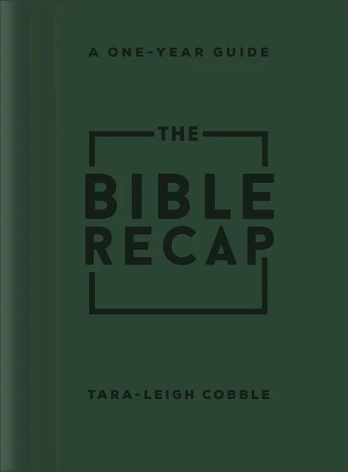 Cover of The Bible Recap