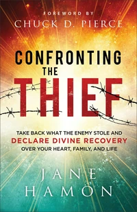 Cover of Confronting the Thief