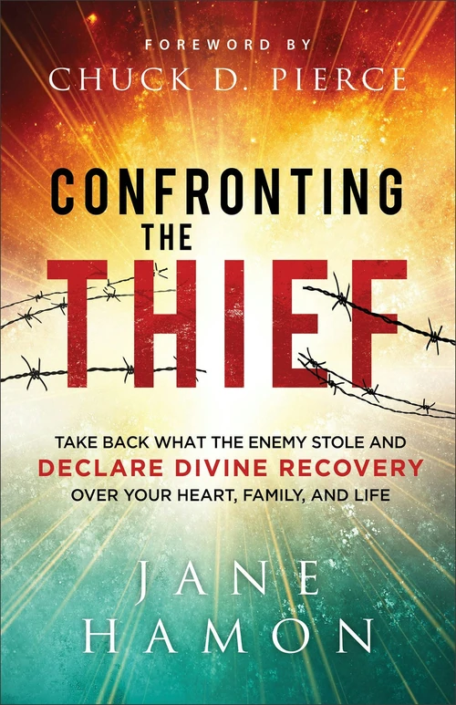 Cover of Confronting the Thief