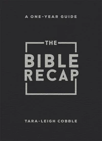 Cover of The Bible Recap