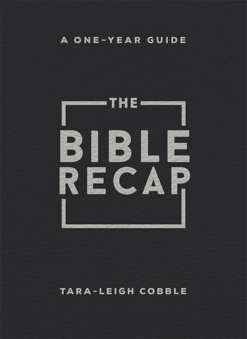 Cover of The Bible Recap