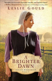Cover of A Brighter Dawn