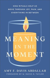 Cover of Meaning in the Moment