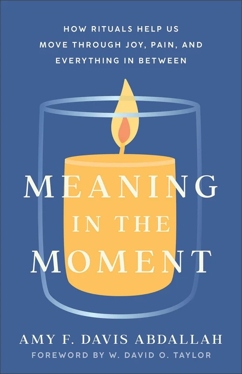 Cover of Meaning in the Moment