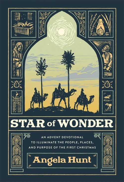 Cover of Star of Wonder