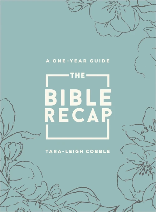 Cover of The Bible Recap