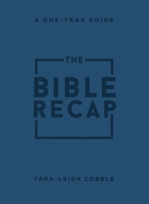 Cover of The Bible Recap