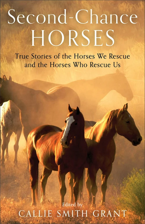 Cover of Second-Chance Horses