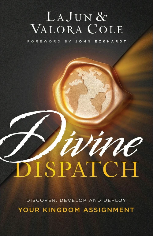 Cover of Divine Dispatch