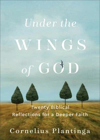 Cover of Under the Wings of God
