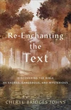 Cover of Re-enchanting the Text