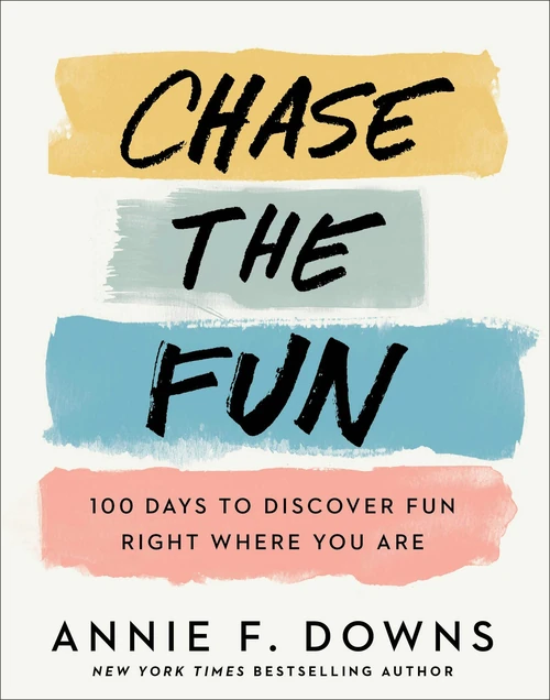 Cover of Chase the Fun