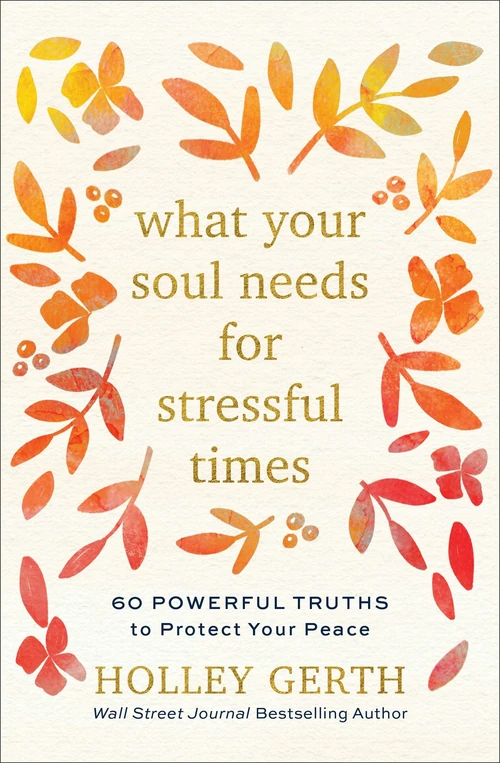 Cover of What Your Soul Needs for Stressful Times