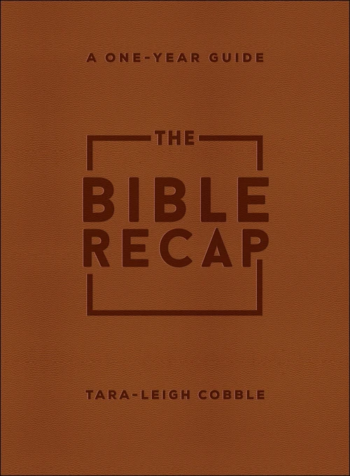 Cover of The Bible Recap
