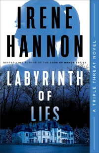 Cover of Labyrinth of Lies