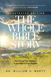Cover of The Whole Bible Story