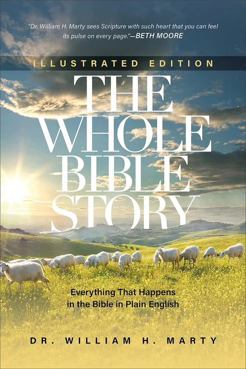 Cover of The Whole Bible Story