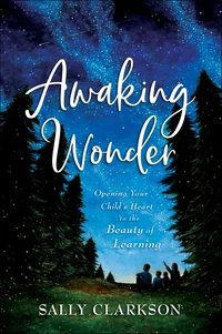 Cover of Awaking Wonder