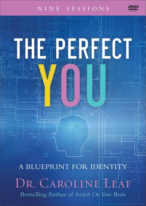 Cover of The Perfect You