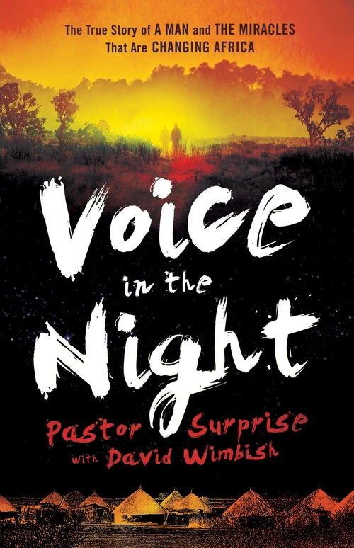 Cover of Voice in the Night