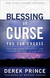Cover of Blessing or Curse