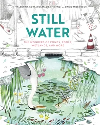 Cover of Still Water