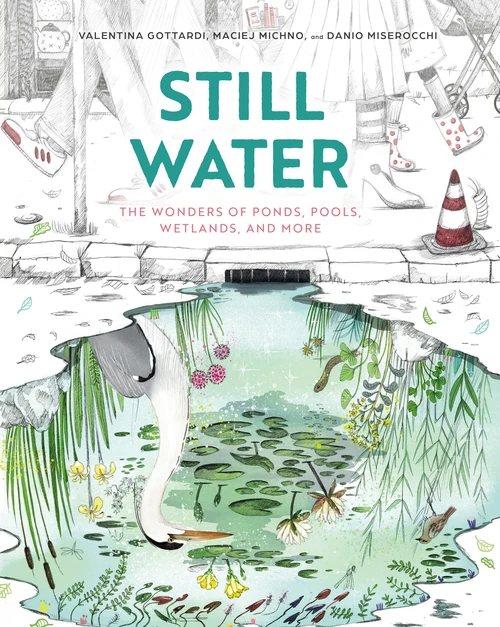 Cover of Still Water