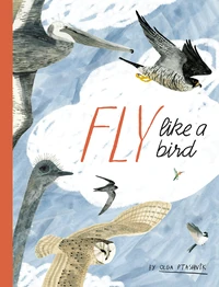 Cover of Fly Like a Bird