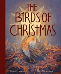 Cover of The Birds of Christmas