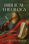 Cover of Biblical Theology