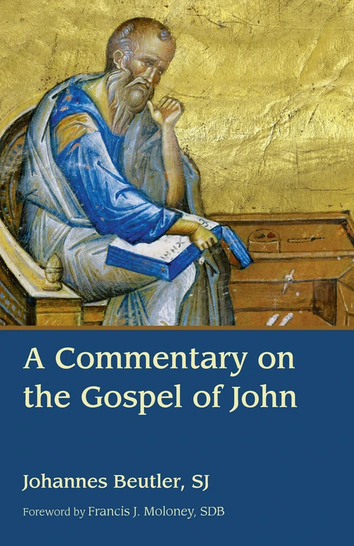 Cover of A Commentary on the Gospel of John