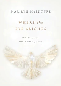 Cover of Where the Eye Alights