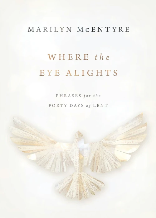 Cover of Where the Eye Alights