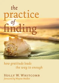 Cover of The Practice of Finding
