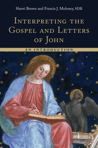 Cover of Interpreting the Gospel and Letters of John