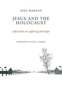 Cover of Jesus and the Holocaust