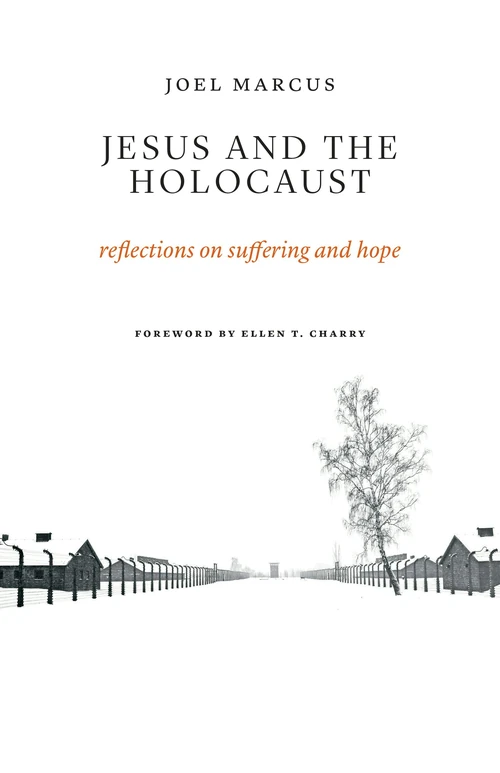 Cover of Jesus and the Holocaust