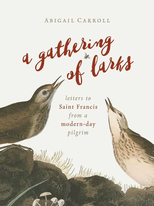 Cover of A Gathering of Larks