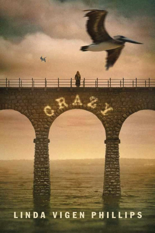 Cover of Crazy