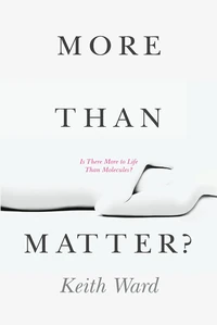 Cover of More Than Matter?