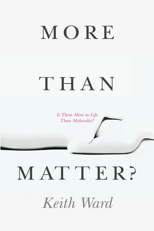 Cover of More Than Matter?