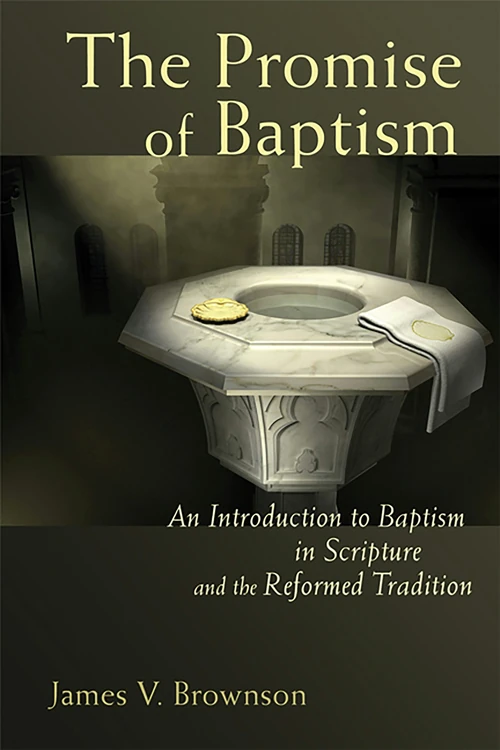 Cover of The Promise of Baptism