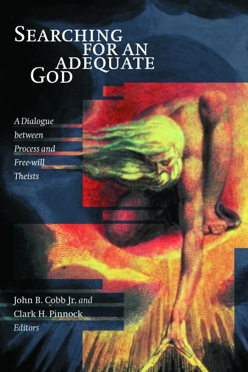 Cover of Searching for an Adequate God