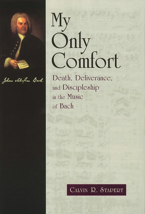 Cover of My Only Comfort