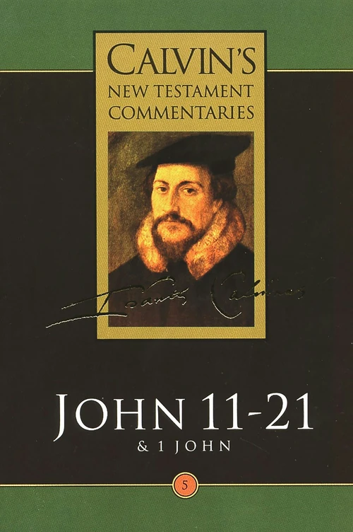 Cover of John 11-21 & 1 John
